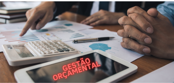  Planeamento, Gestão Orçamental e Gestão de Custos nas PME´s